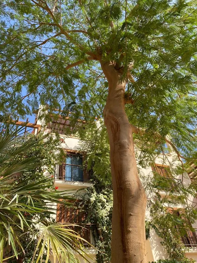 Talabay Top Cosy 3 Bedroom Apartment Aqaba